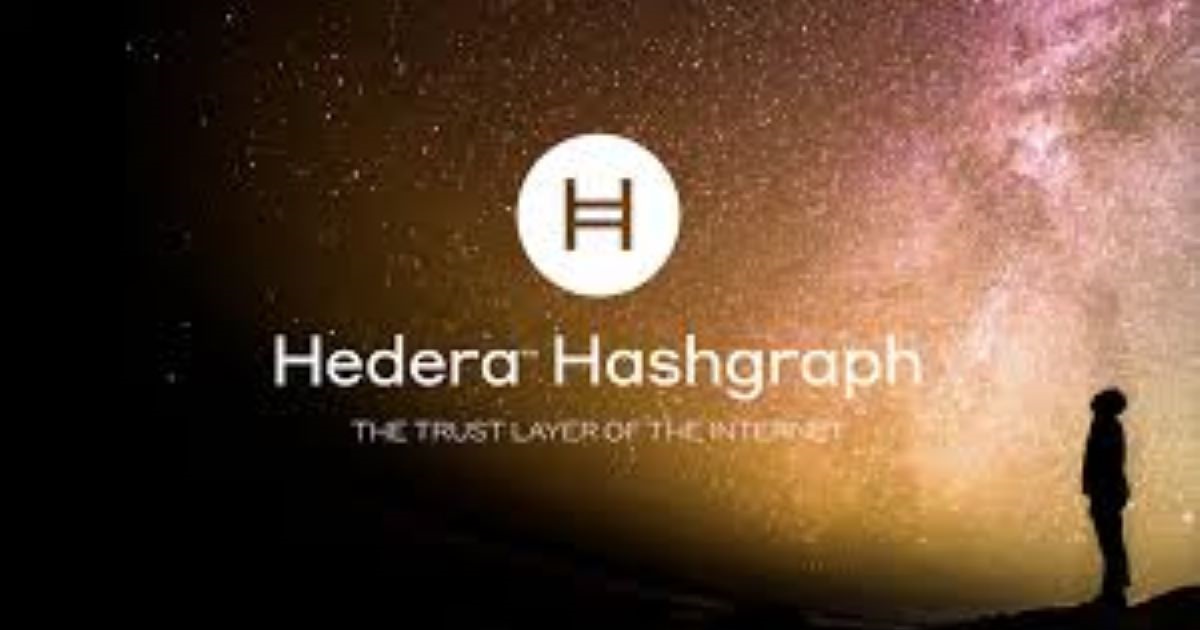 Hedera4928432