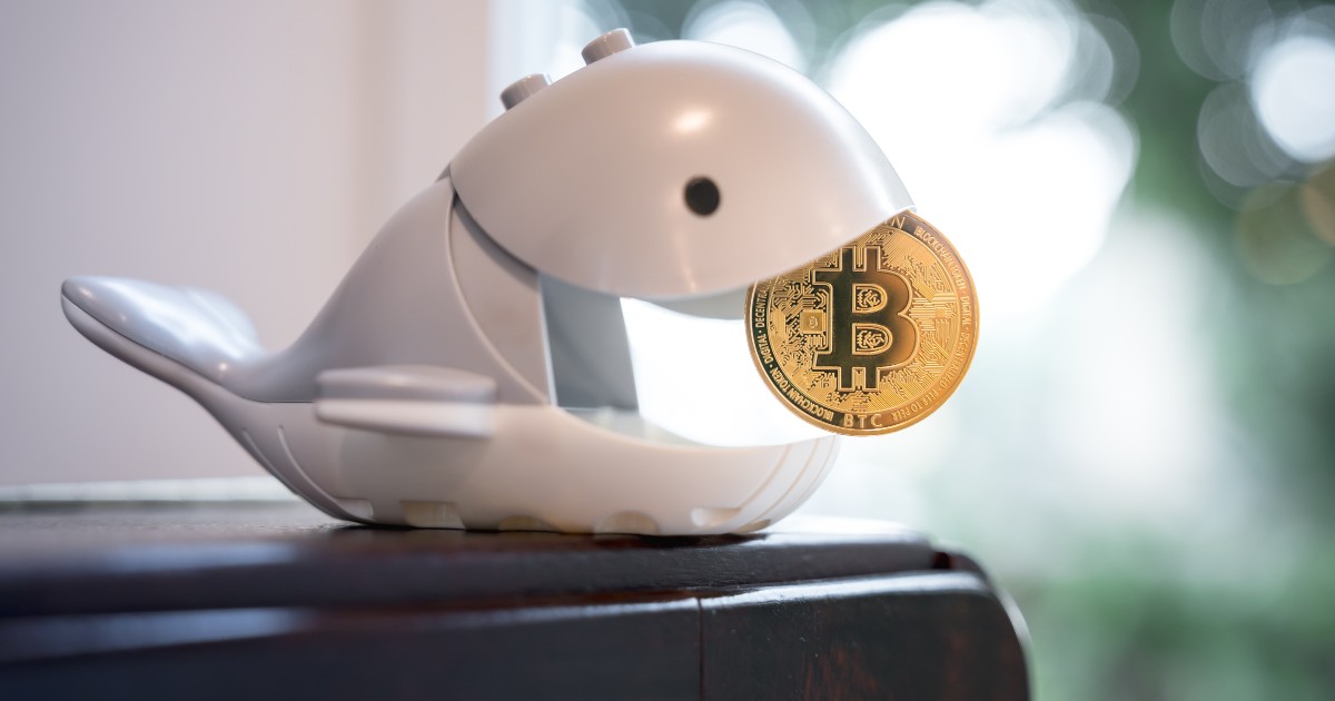 オンチェーンデータ、機関買いとクジラ売り圧力減を示す=アナリスト分析